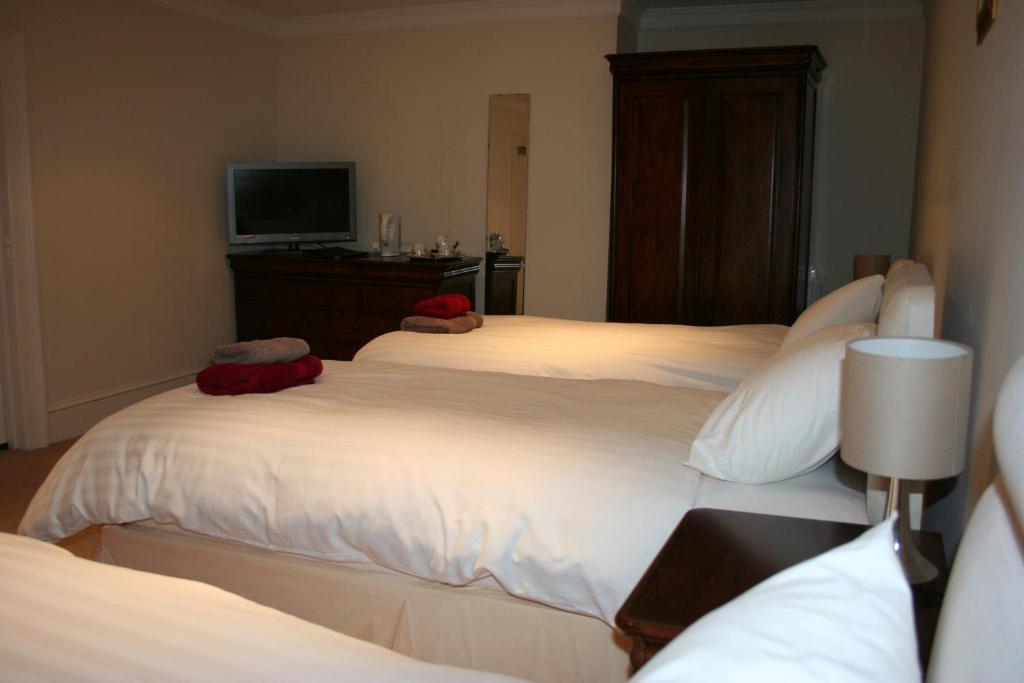 The Trewythen Hotell Llanidloes Eksteriør bilde